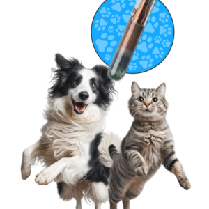 Microchip RFID para mascotas Tagger Pet – Identificación y Protección de por Vida