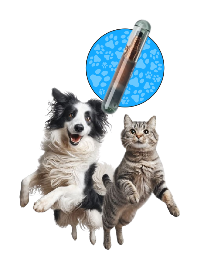 Microchip RFID para mascotas Tagger Pet – Identificación y Protección de por Vida