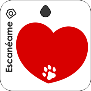 placa tagger pet diseno 6