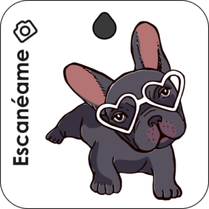 placa tagger pet diseno 7