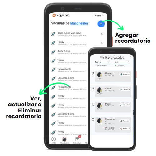 Recordatorios En Tagger Pet