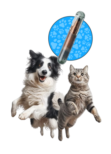 Microchip RFID para mascotas Tagger Pet – Identificación y Protección de por Vida